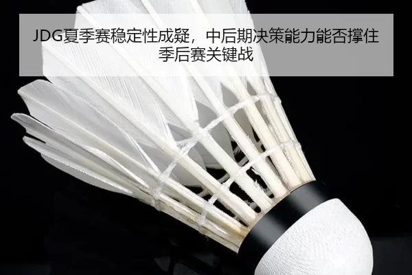 JDG夏季赛稳定性成疑，中后期决策能力能否撑住季后赛关键战